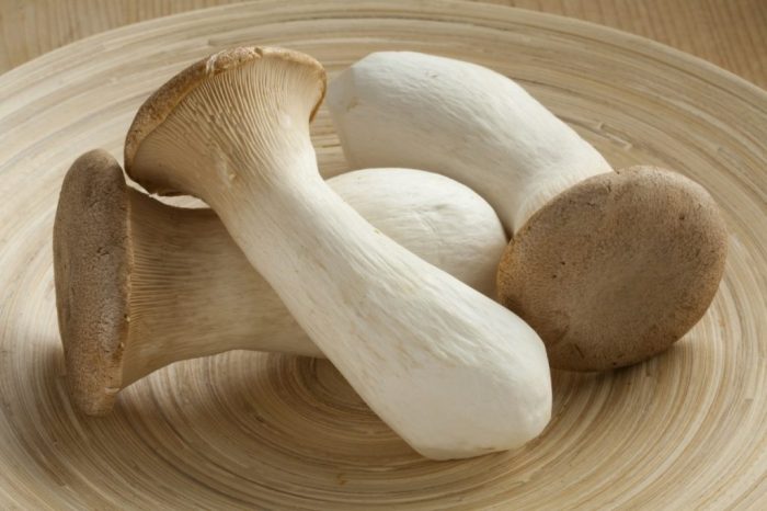 How to cook king oyster mushroom chinese style