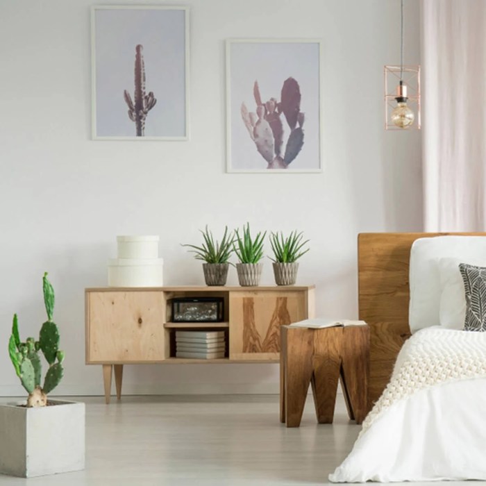 How to decorate living room with cactus canvas